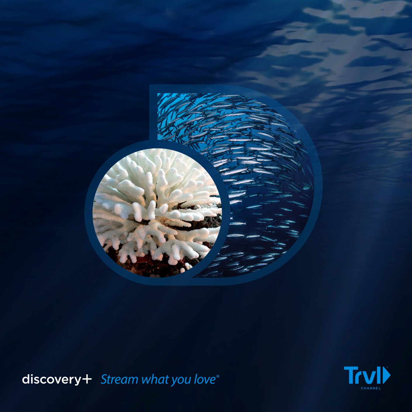 Discovery plus