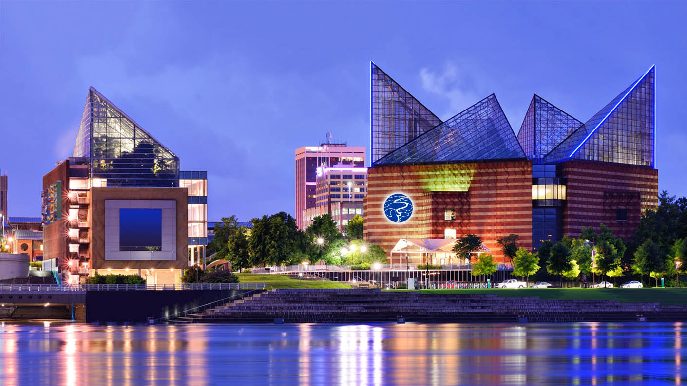 Tennessee Aquarium image