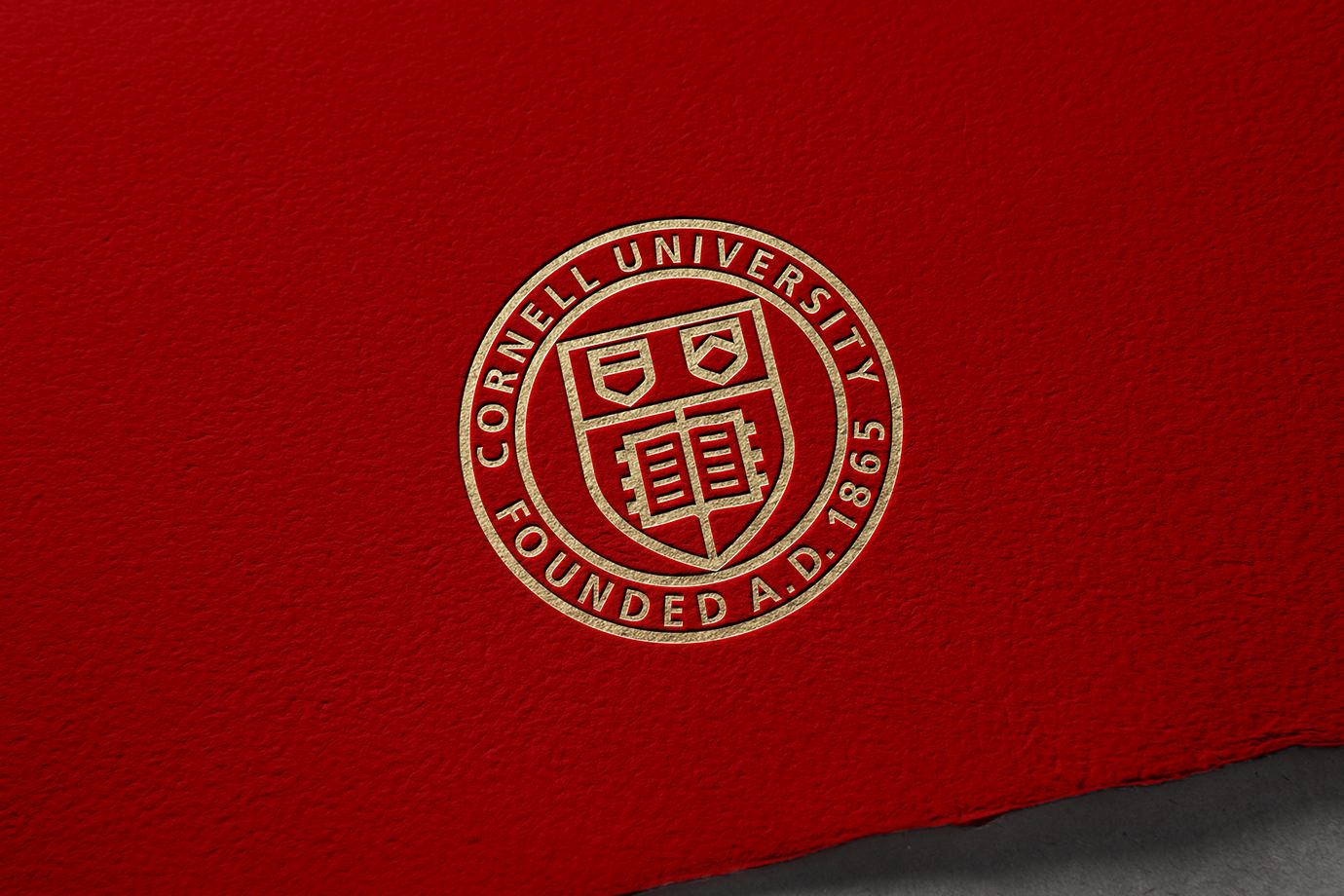 cornell seal univeraity